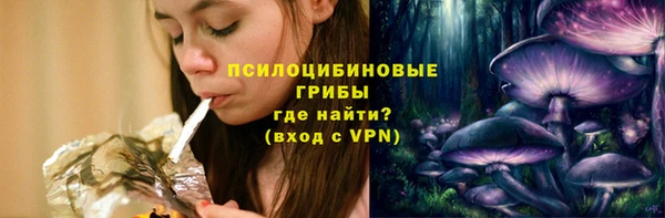 ПСИЛОЦИБИНОВЫЕ ГРИБЫ Заводоуковск