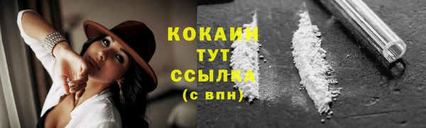 ПСИЛОЦИБИНОВЫЕ ГРИБЫ Заводоуковск