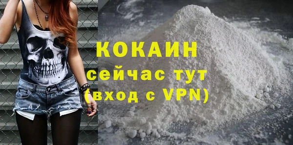 ПСИЛОЦИБИНОВЫЕ ГРИБЫ Заводоуковск