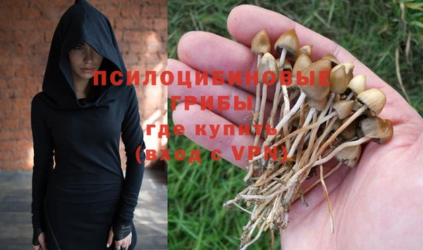 ПСИЛОЦИБИНОВЫЕ ГРИБЫ Заводоуковск