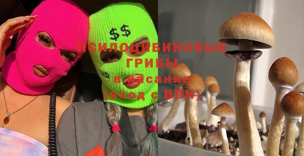 ПСИЛОЦИБИНОВЫЕ ГРИБЫ Заводоуковск